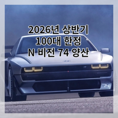썸네일 N 비전 74 100대 한정 양산