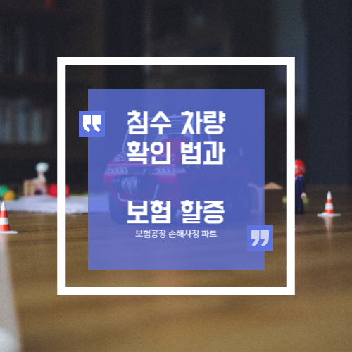  침수차 확인하는 방법과 할증