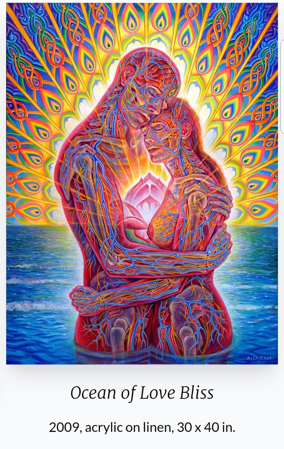 알렉스 그레이(Alex Grey&amp;#44; 1953~ )작품 &amp;#39;Ocean of Love Bliss&amp;#39;