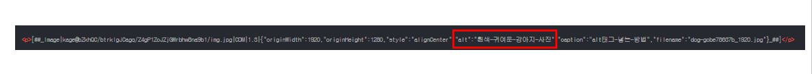 html에서-alt태그-확인