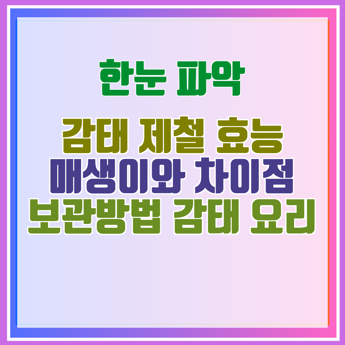 감태 제철 효능 매생이와 차이점 보관방법 감태 요리