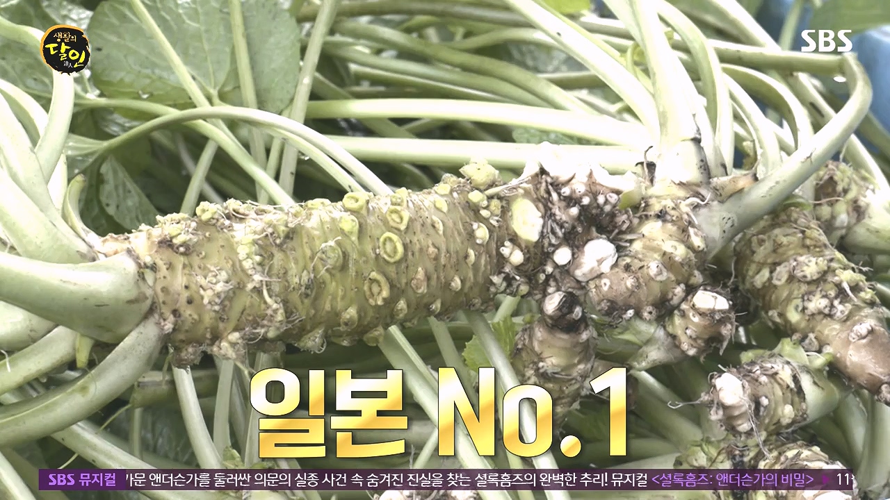 생활의 달인.E908.231017p-NEXT.mp4_20231017_200009.091.jpg