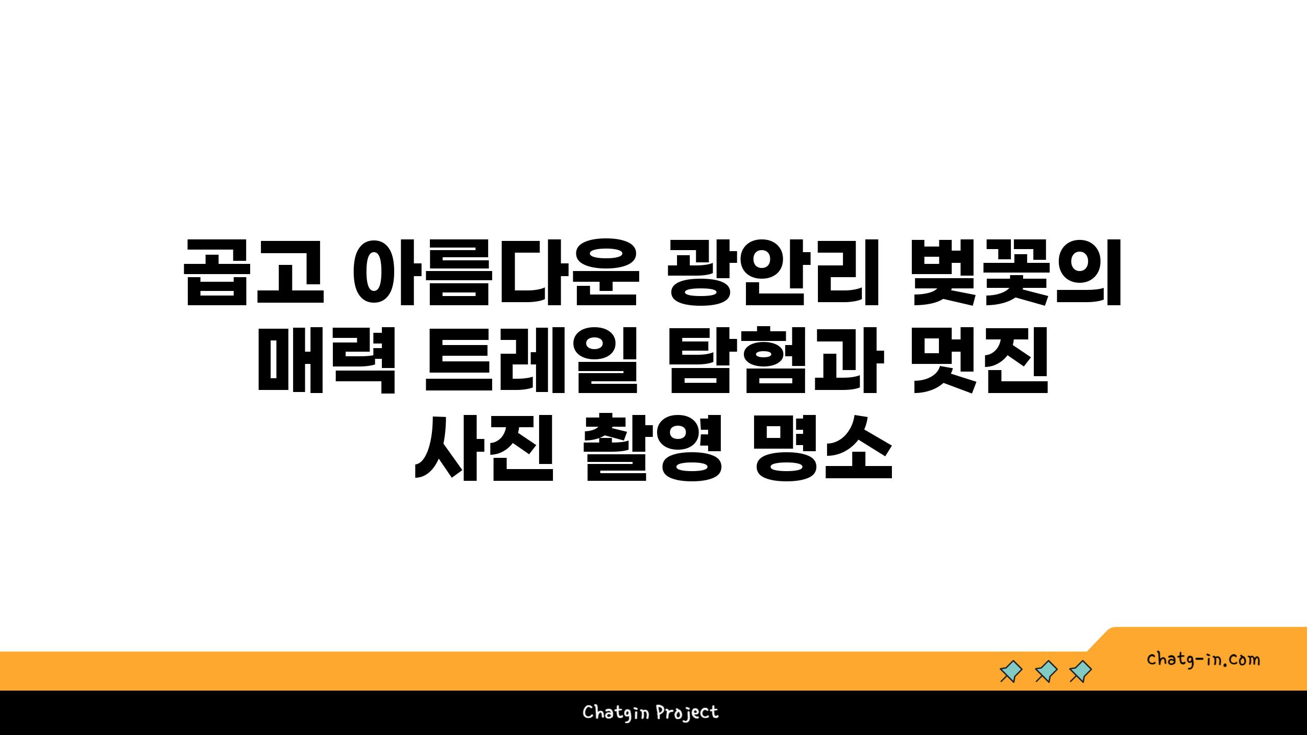 곱고 아름다운 광안리 벚꽃의 매력 트레일 탐험과 멋진 사진 촬영 명소