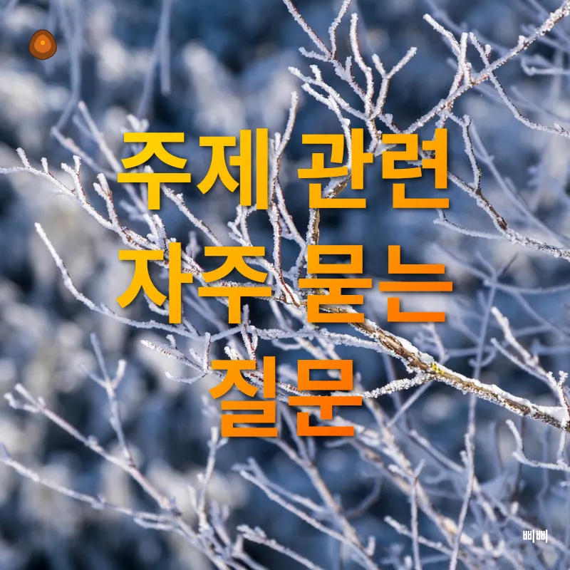 겨울철 스포츠 생활화_4