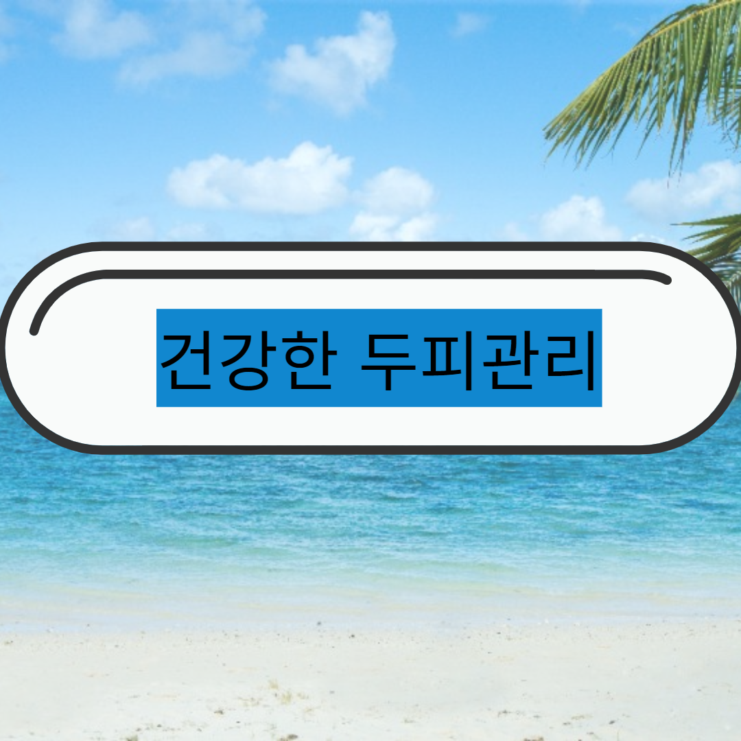  머리를 어느정도의 주기로 감아야 건강한 모발을 유지할까?