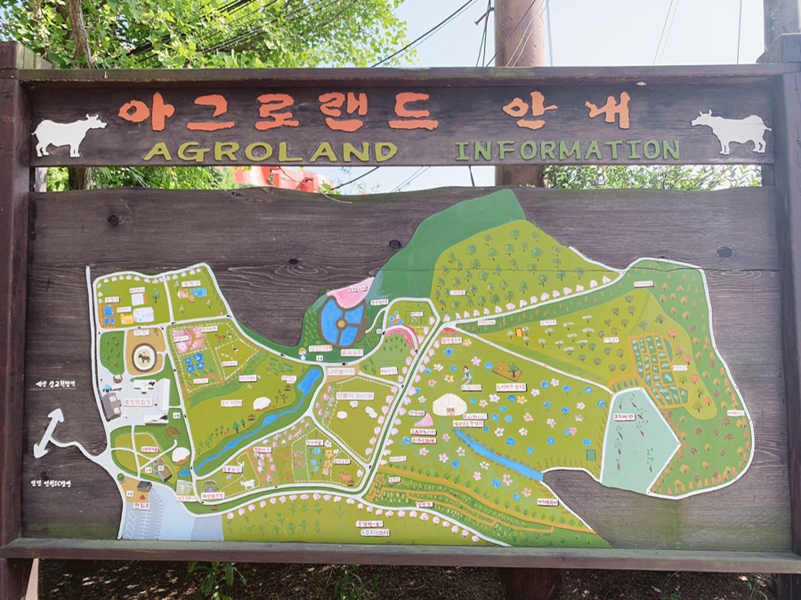  당진 가볼 만한 곳 : 당진 아그로랜드 태신목장 포토존 맛집!!
