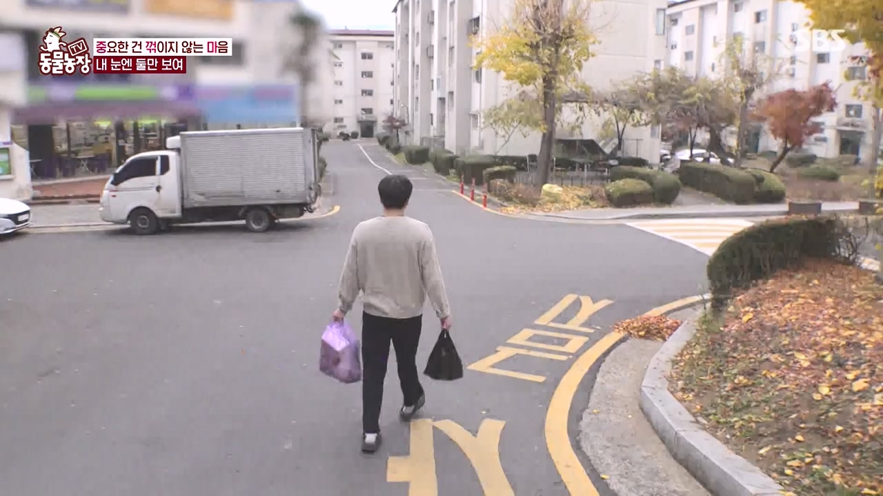 TV 동물농장.E1154.240115p-NEXT.mp4_20240114_184358.283.jpg