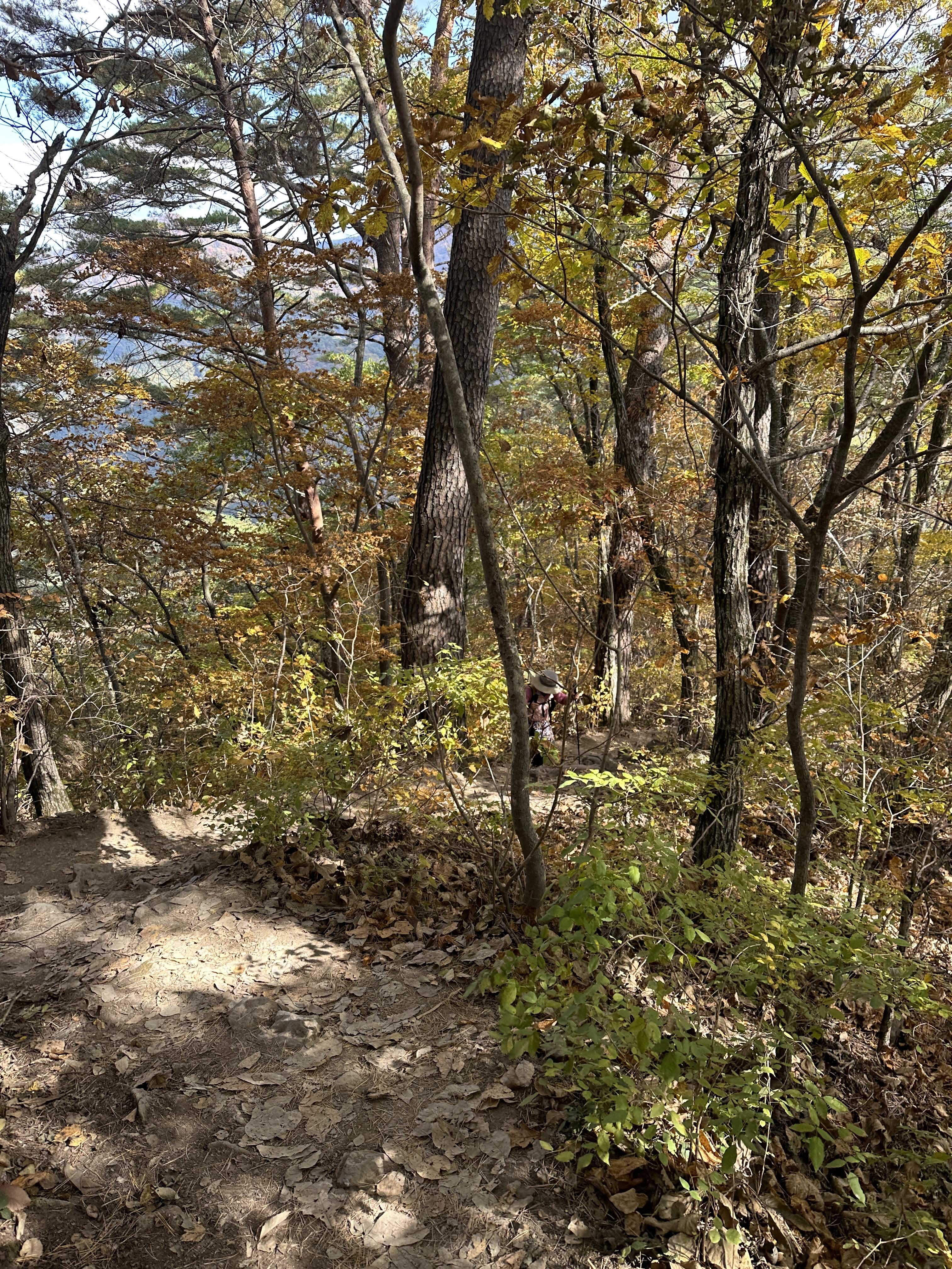 주왕산 등산코스 가을산행 단풍산행