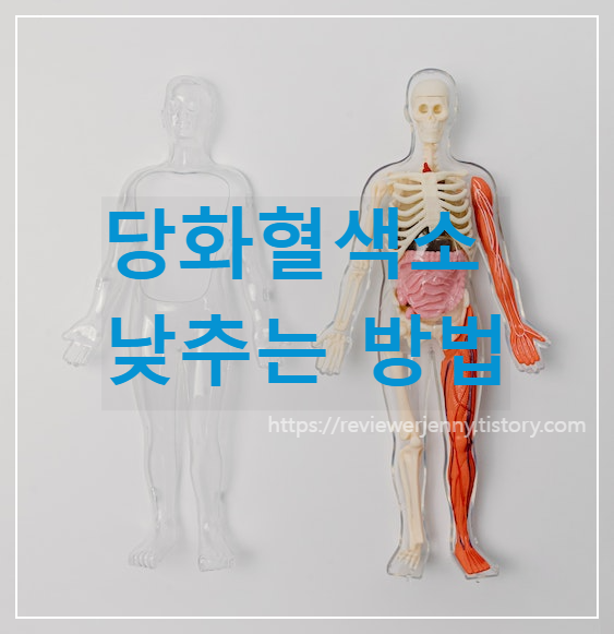  당화혈색소를 낮추기 위한 방법 7가지