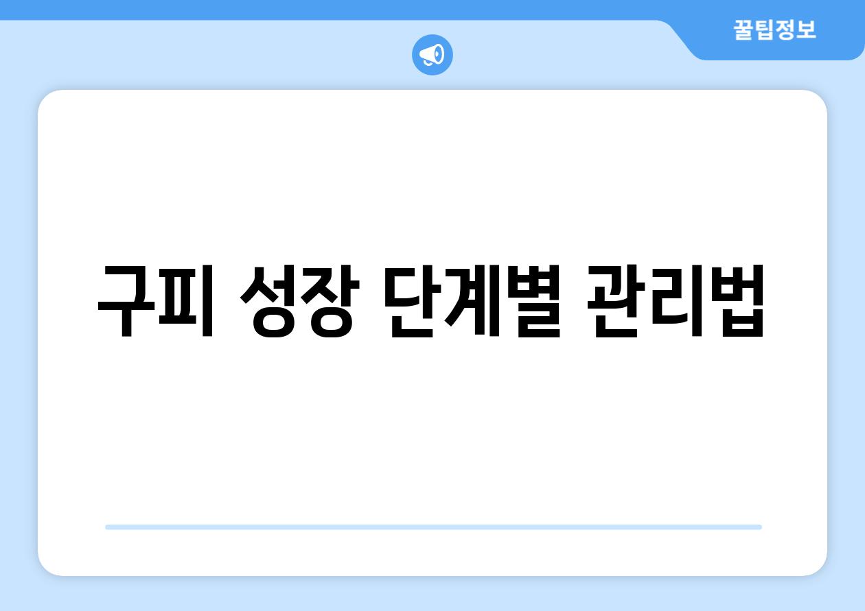 구피 성장 단계별 관리법