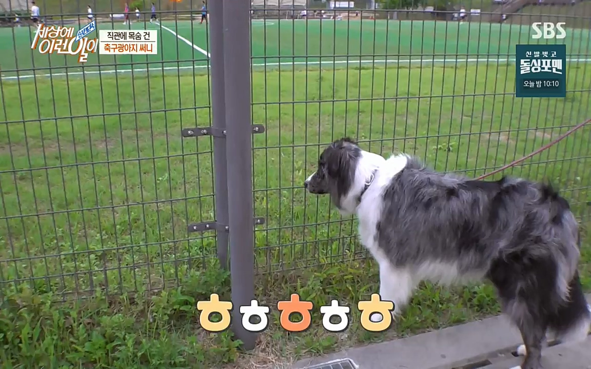 순간포착 세상에 이런일이.E1188.220713p-NEXT.mp4_20220713_175335.759.jpg