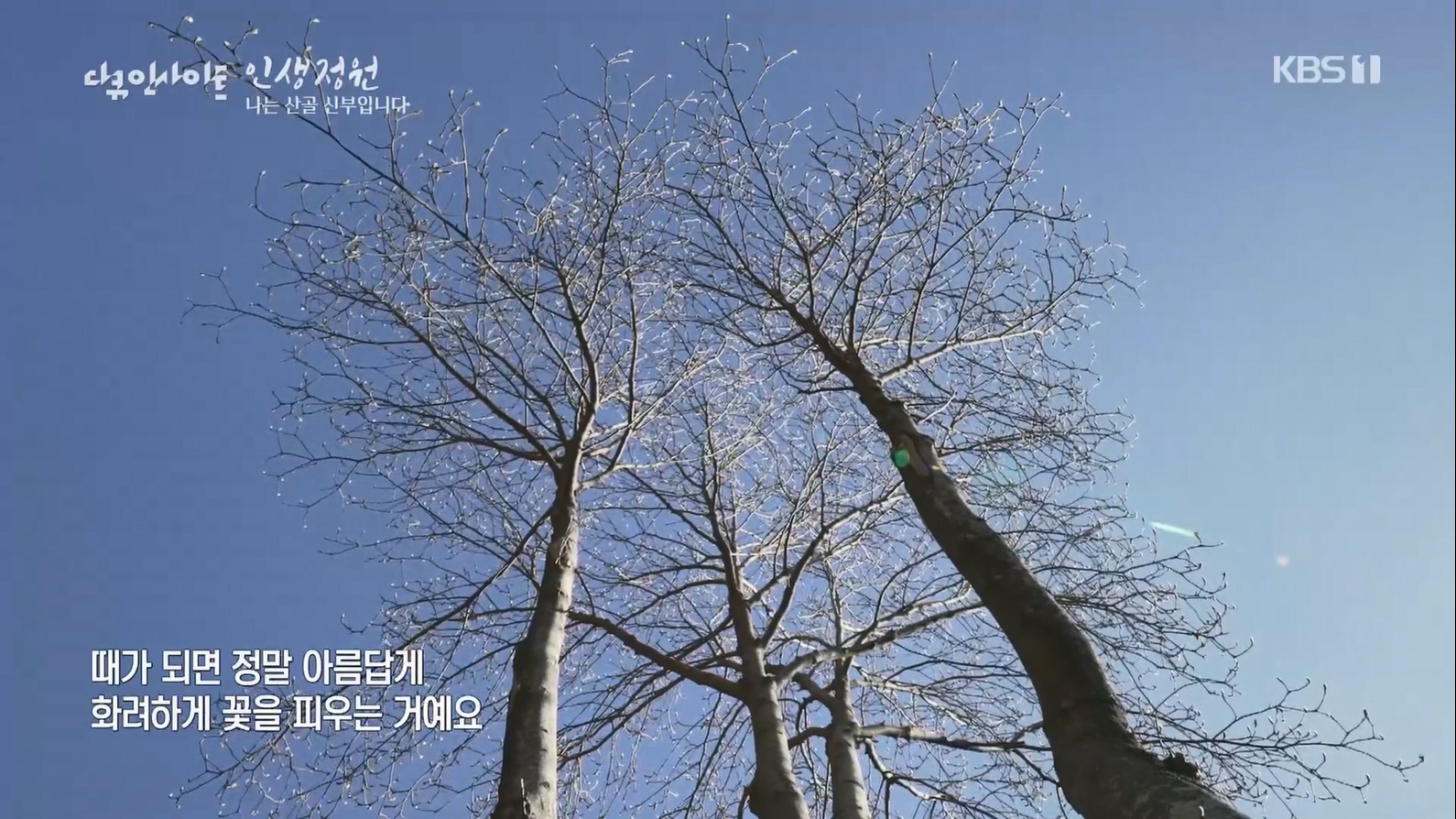 다큐 인사이트.E153.230608p.H264-F1RST.mp4_20230612_203949.030.jpg