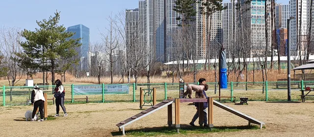 동탄여울공원 반려가족놀이터