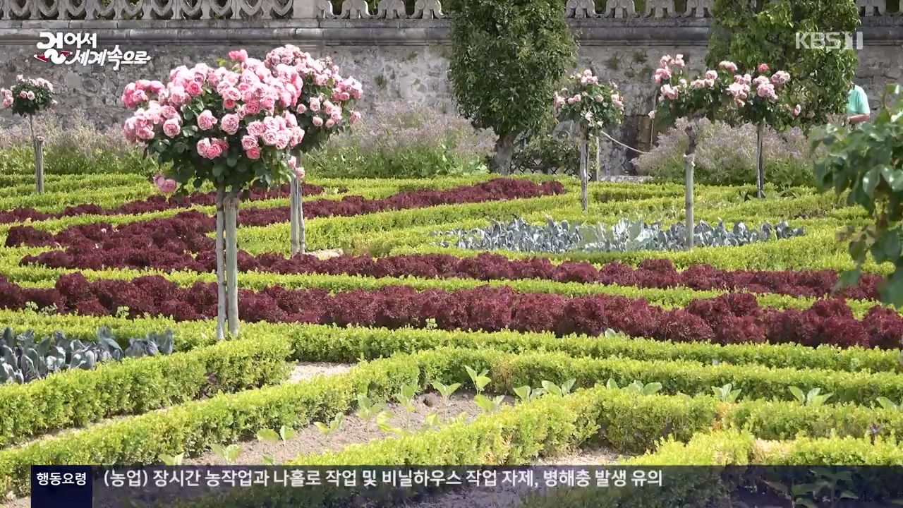 걸어서 세계속으로.E804.230806p-NEXT.mp4_20230812_180545.842.jpg