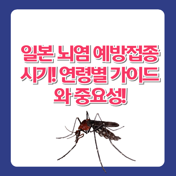 일본 뇌염 예방접종 시기! 연령별 가이드와 중요성!