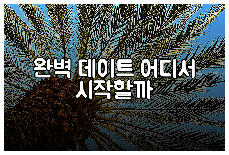 완벽 데이트 어디서 시작할까