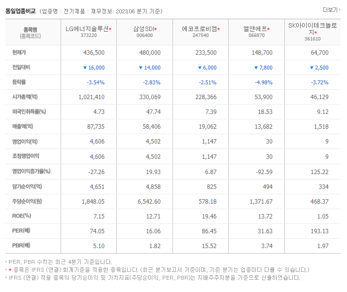 LG에너지솔루션_동종업비교