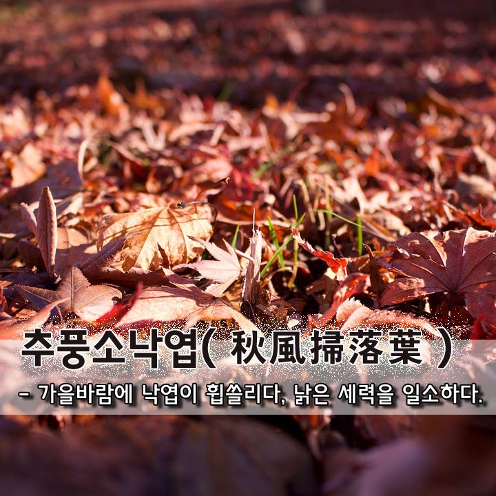  추풍소낙엽(秋風掃落葉)