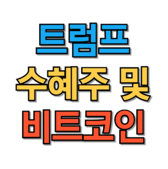 일론머스크 트럼프