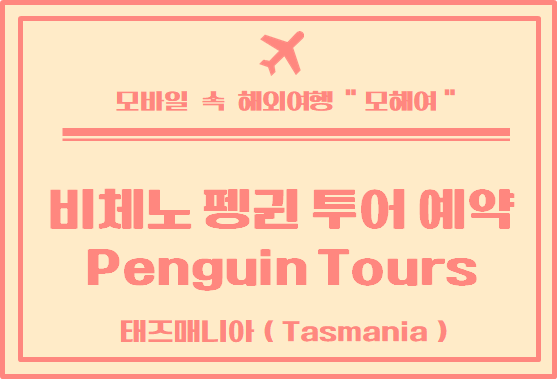  태즈매니아 여행 피체노 펭귄 투어 예약하는 방법(Bicheno Penguin Tours)