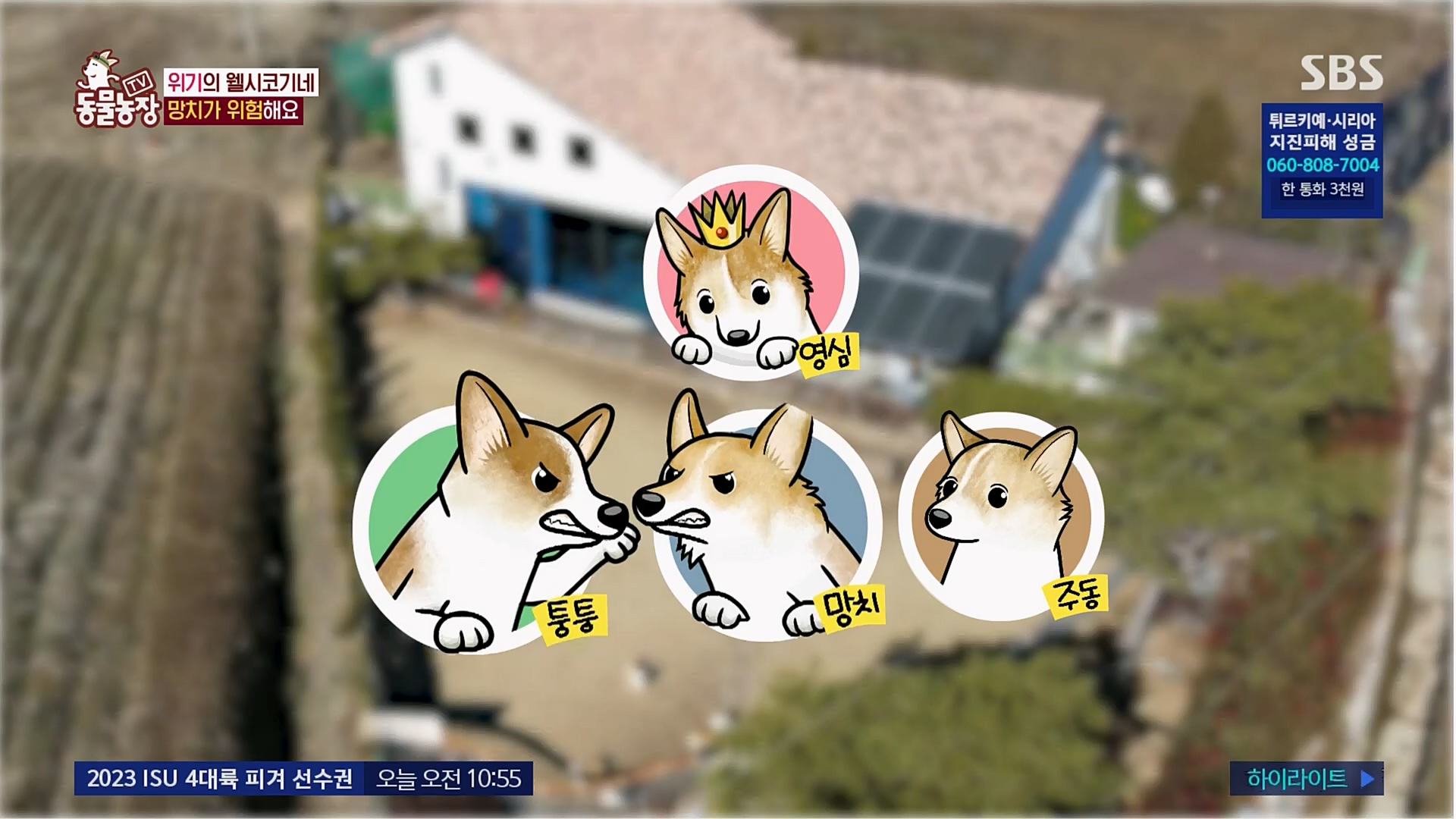 TV 동물농장.E1108.230212p.H264-F1RST.mp4_20230212_182139.757.jpg
