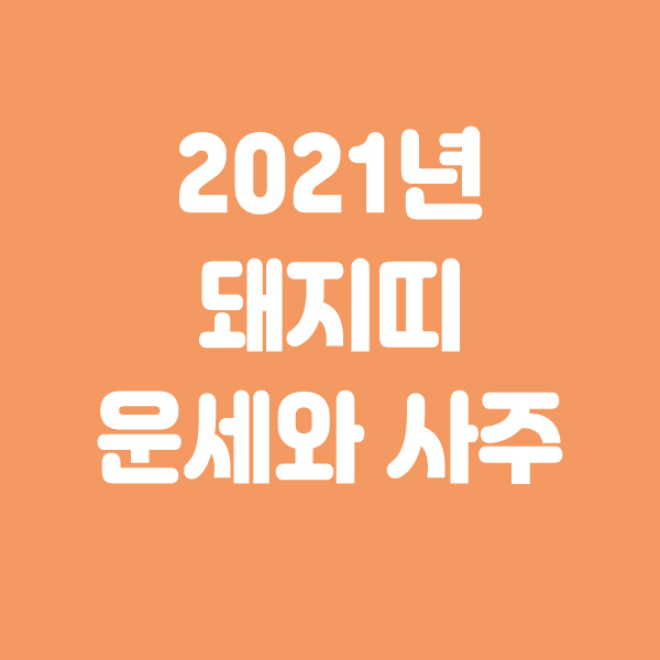  2021년 신축년 돼지띠 운세 사주