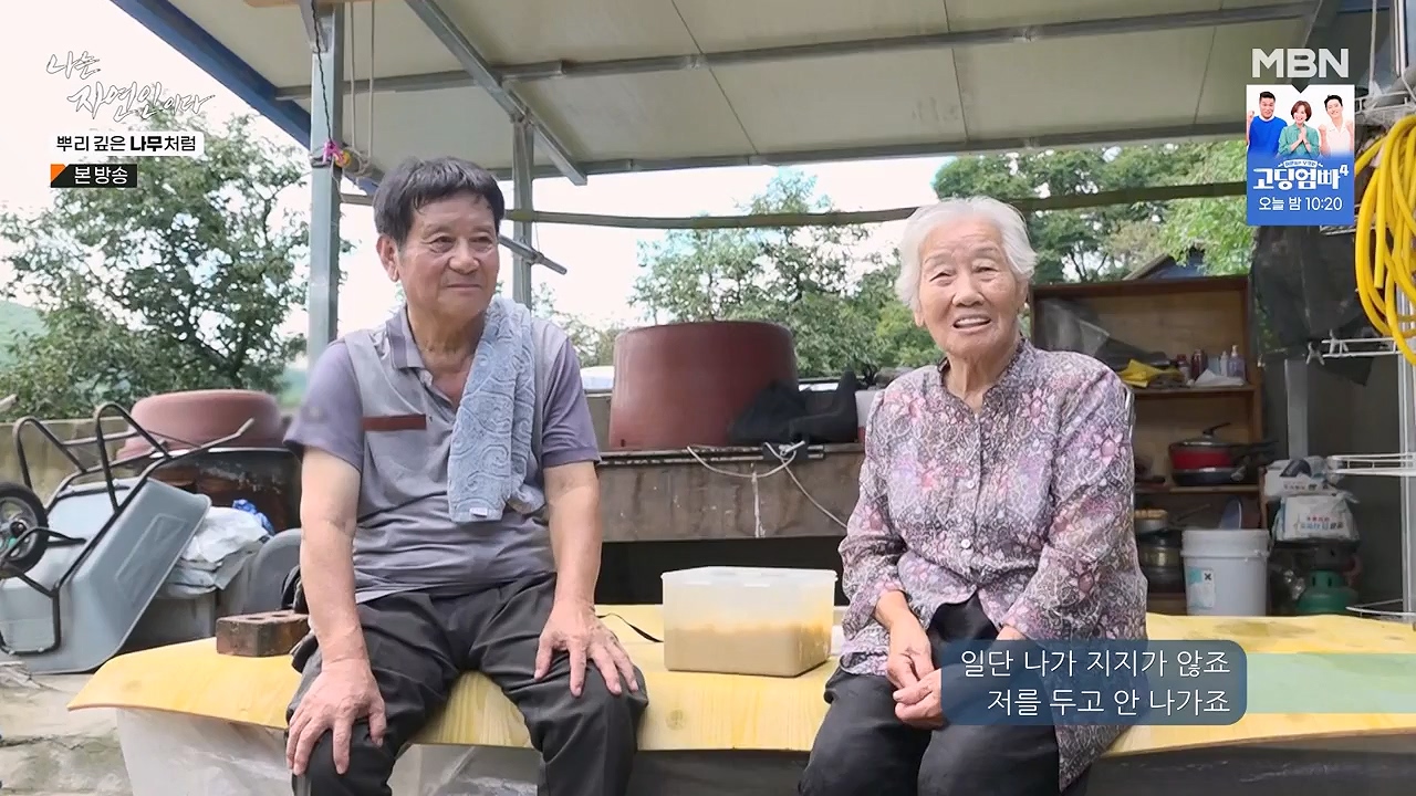 나는 자연인이다.E571.230914p-NEXT.mp4_20230914_202154.639.jpg