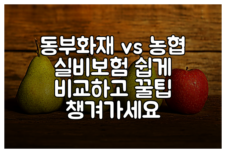동부화재 vs 농협 실비보험 쉽게 비교하고 꿀팁 챙겨가세요