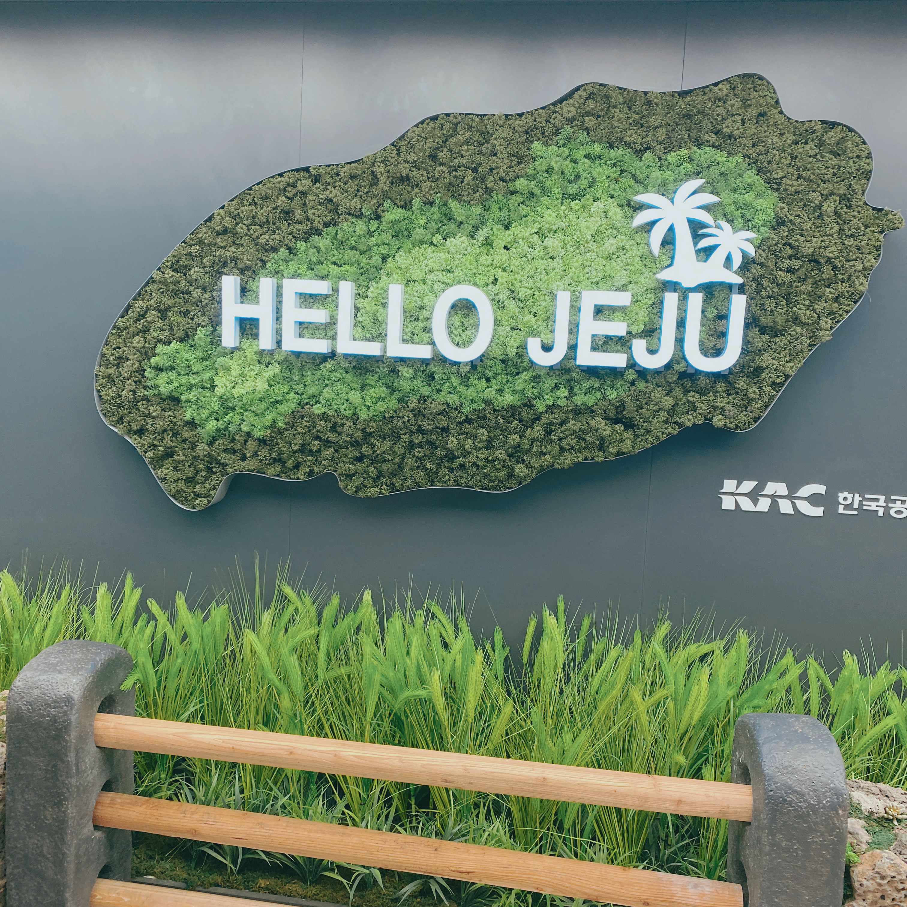  제주도 11월 아이와 여행_1일차