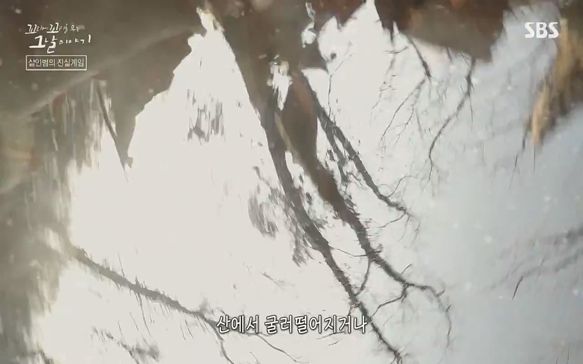 꼬리에 꼬리를 무는 그날 이야기.E32.220617p-NEXT.mp4_20220618_185627.354.jpg