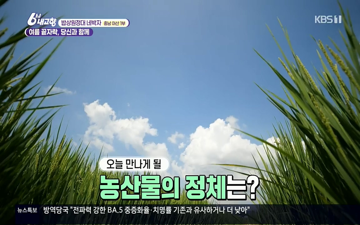 6시 내고향.E7608.220832p.H264-F1RST.mp4_20220901_204409.366.jpg