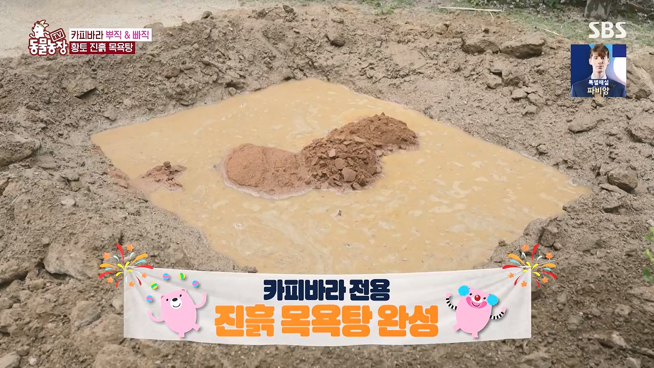 TV 동물농장.E1181.240722p-NEXT.mp4_20240721_165552.076.jpg