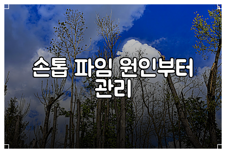 손톱 파임 원인부터 관리