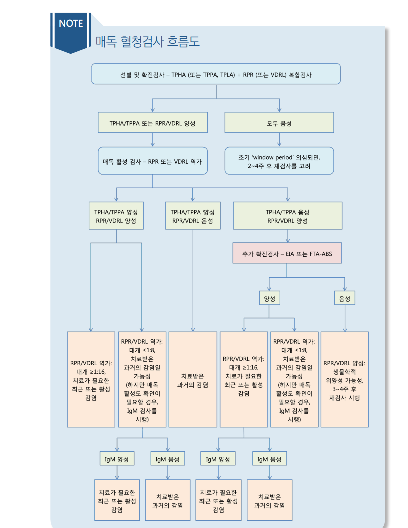 VDRL, RPR, TPLA, FTA ABS검사 Ft. 매독 검사