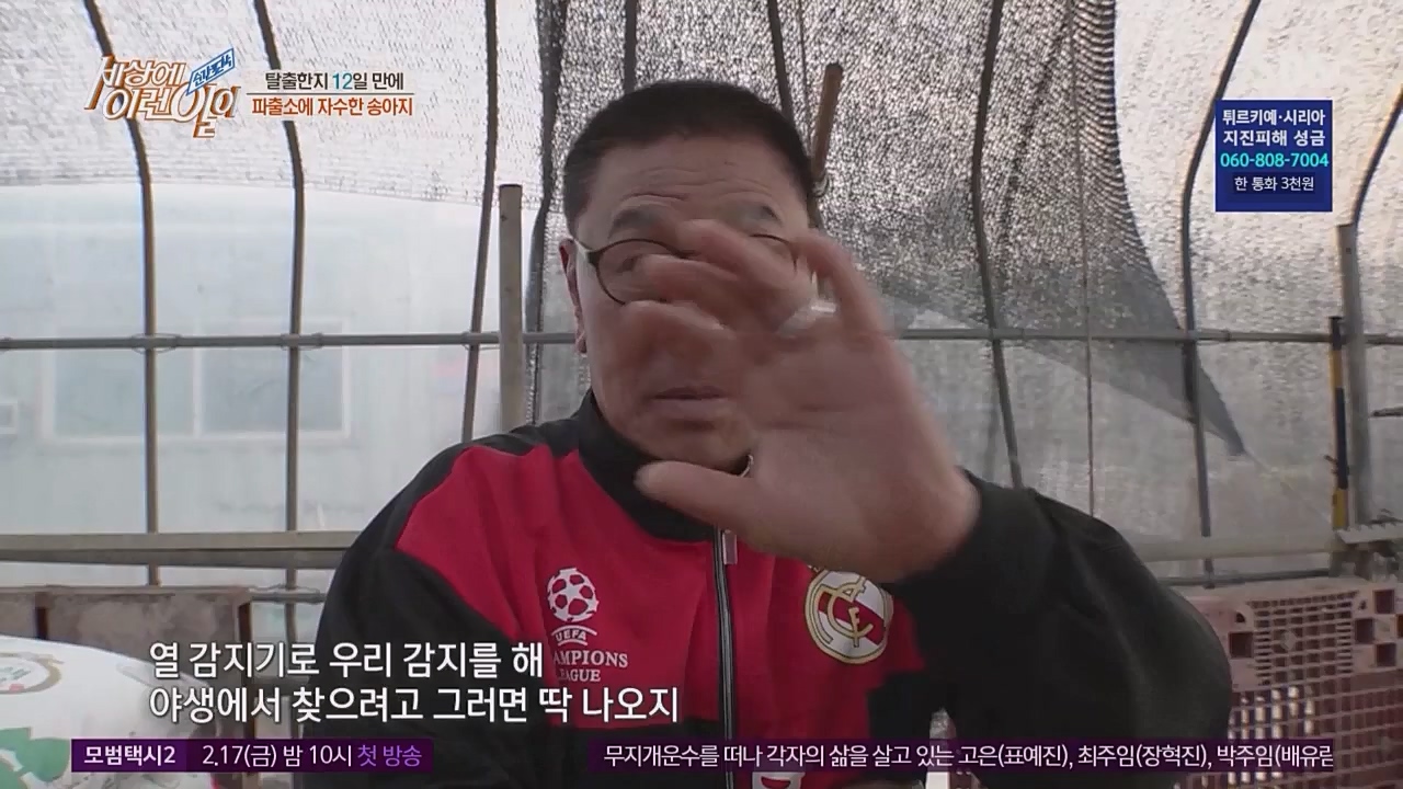 순간포착 세상에 이런 일이.E1217.230215p.WANNA.mp4_20230215_194723.359.jpg