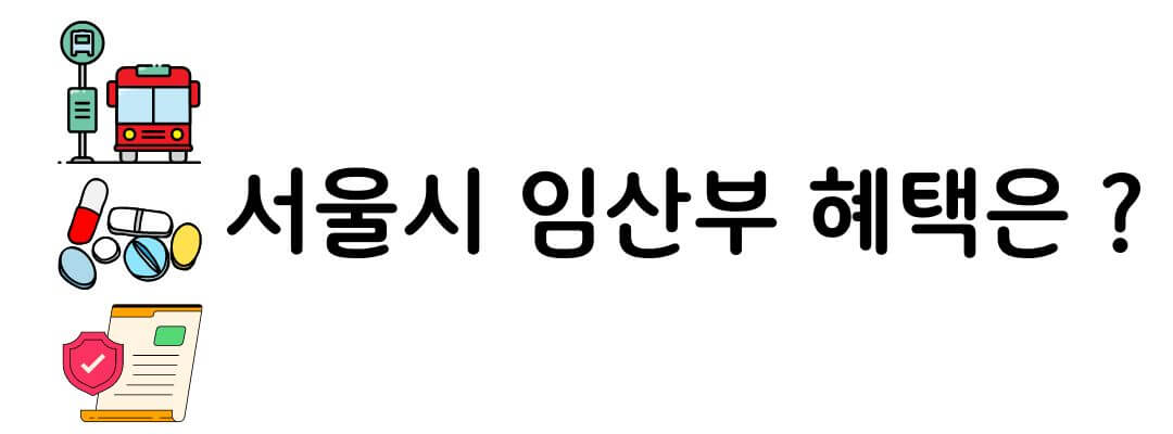 서울시 임산부 교통비 지원대상 및 잔액 조회