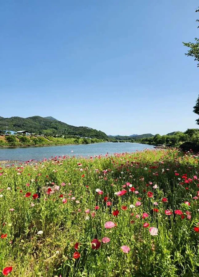 대황강자연휴식공원