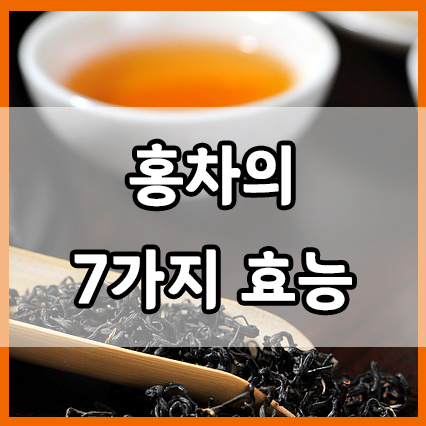  홍차의 7가지 효과