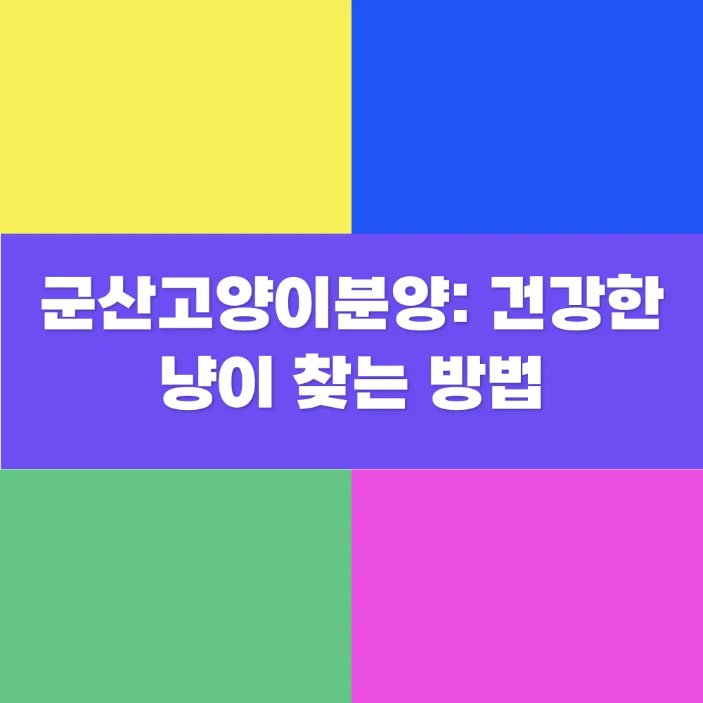 썸네일 이미지