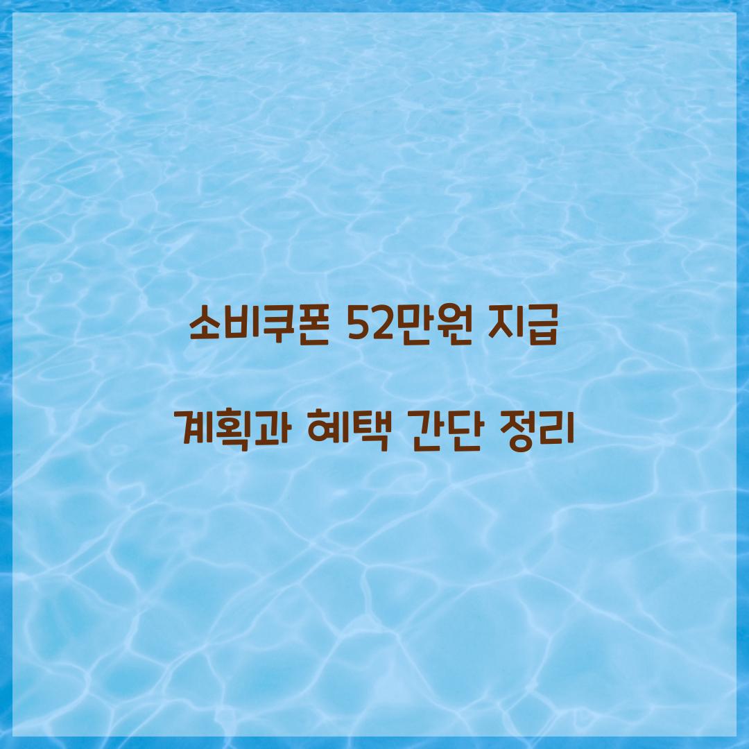 소비쿠폰 52만원