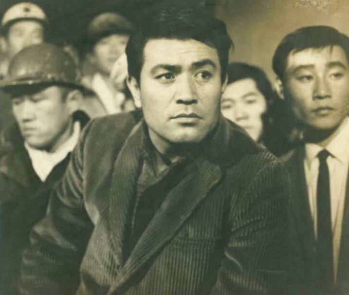 남궁원 주요 작품