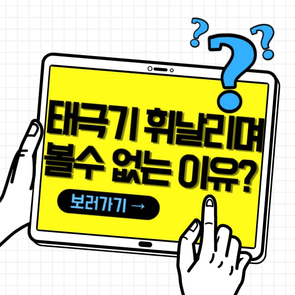  태극기 휘날리며 국내에서 볼수 없는 이유