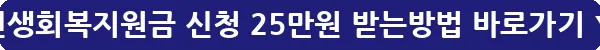민생회복지원금 신청 25만원 받는방법_17