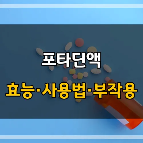 포타딘액_썸네일_이미지