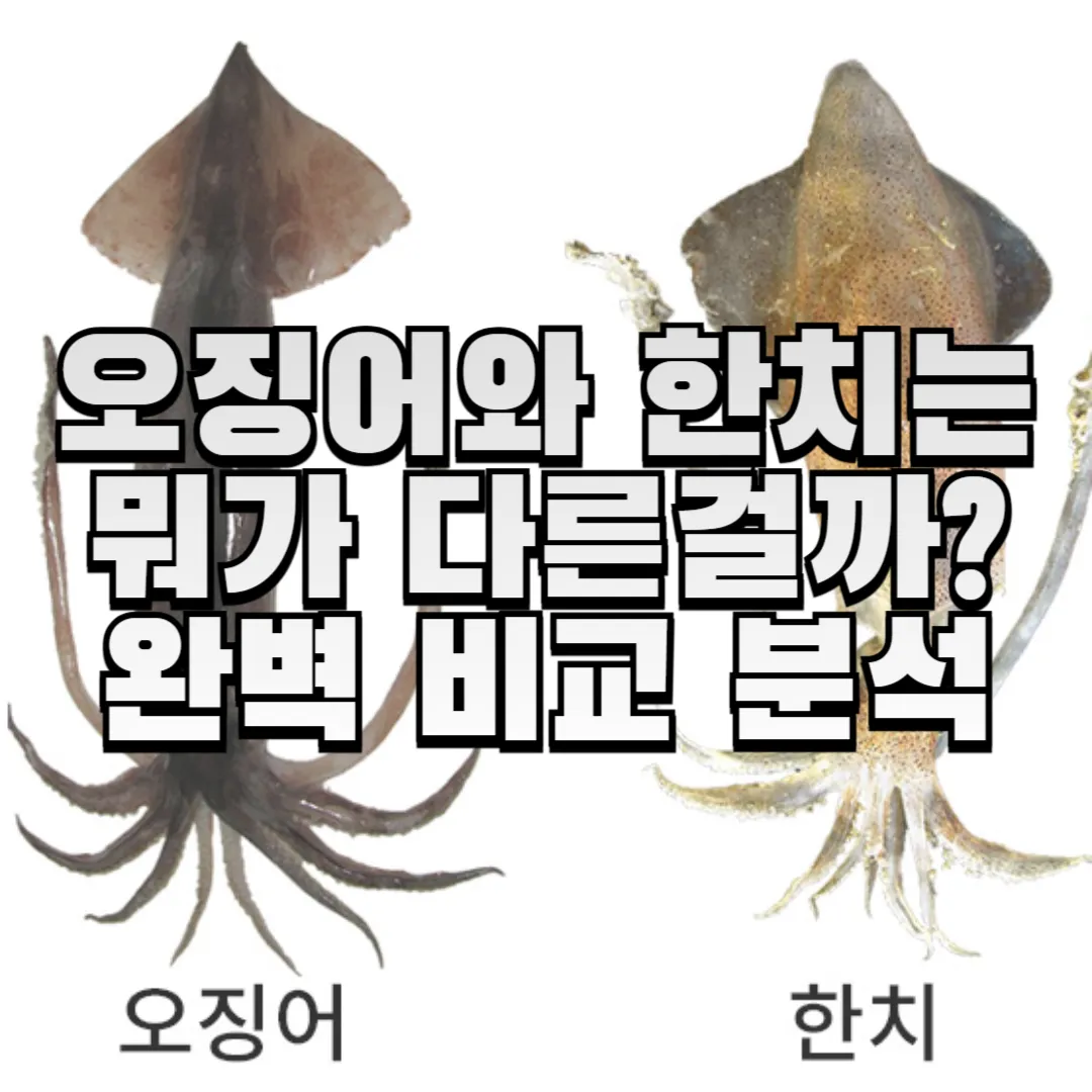 오징어와-한치