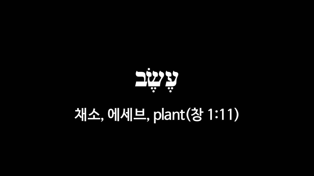 창세기 1장 11절&#44; 씨 맺는 채소(עֶשֶׂב&#44; 에세브&#44; plant) - 히브리어 원어 정리