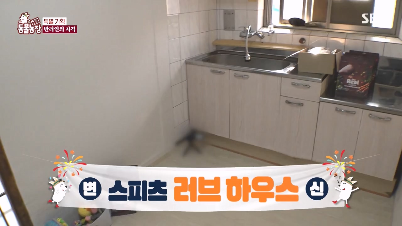 TV 동물농장.E1171.240513p-NEXT.mp4_20240512_163355.140.jpg