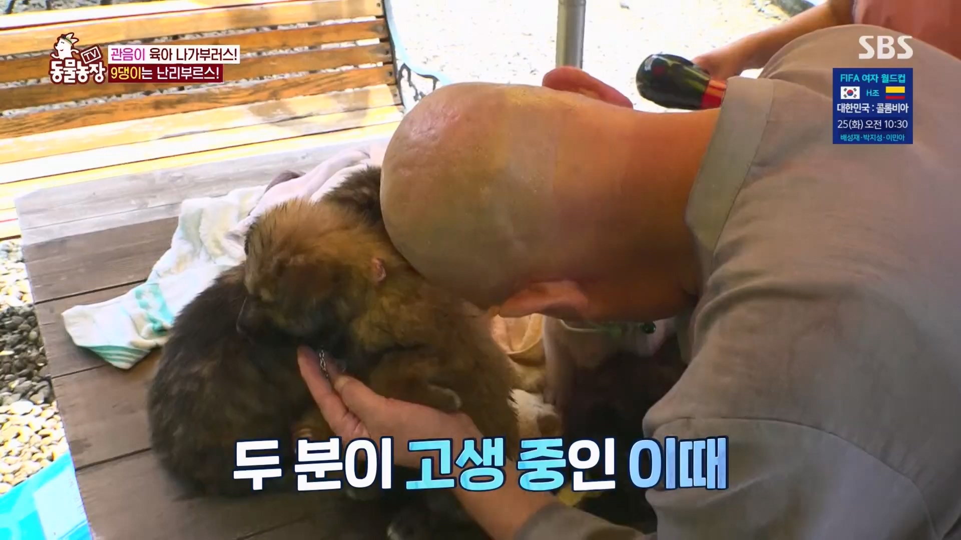 TV 동물농장.E1130.230723p.H264-F1RST.mp4_20230723_171200.956.jpg