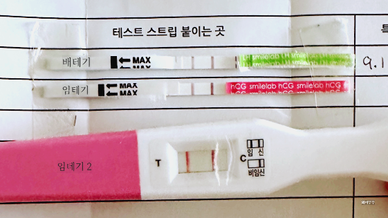 배란테스트기와 임신테스트기