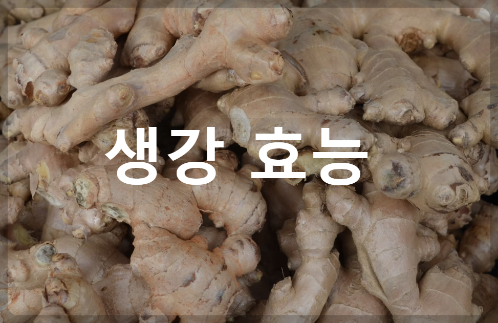 생강 효능